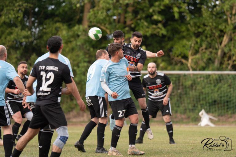 IMG_20250927_204703_704